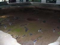 Albums/20060800-China Aug 2006/20060807-Shenyang - Neolithic Museum/6